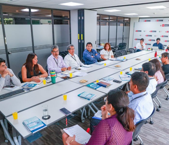 Autoridades buscan perfeccionar normativa ambiental para actividades eléctricas