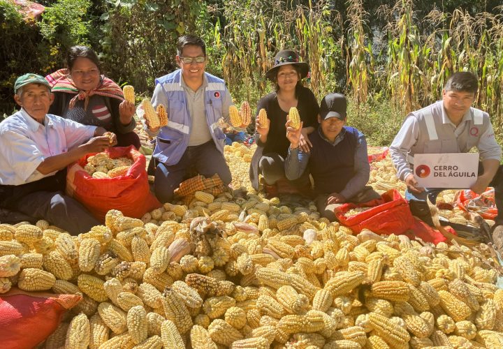 20250610_164851589_iOS