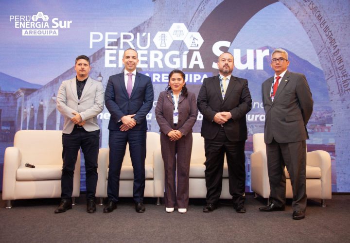 4 empresas interesadas en instalar petroquímicas en Perú y uno de los lugares ideales es Marcona