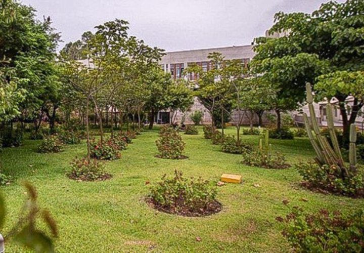60 universidades del país implementan políticas y acciones de gestión ambiental