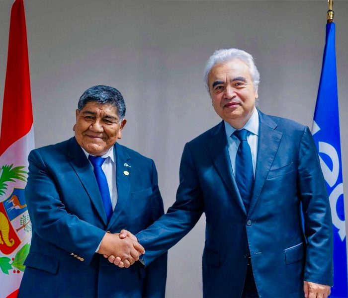 Impulsan colaboración entre el Perú y organismos internacionales de Energía