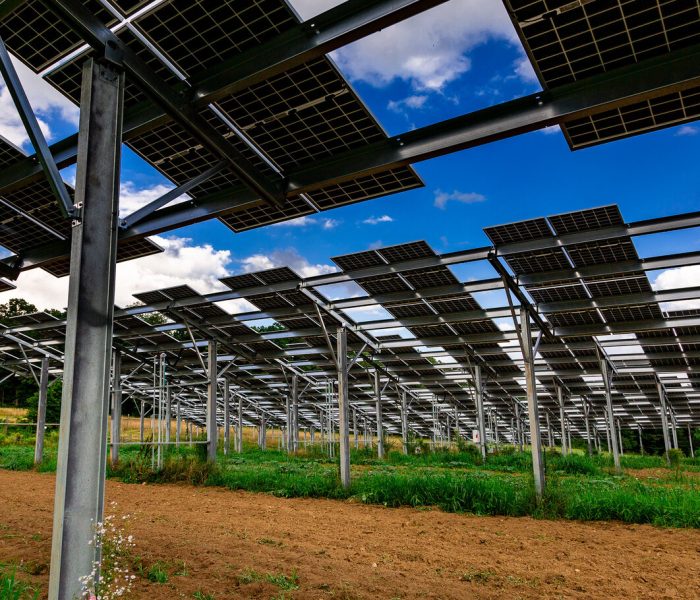 Arequipa: Planta de hidrógeno tendrá paneles solares elevados que permitirán cultivo debajo