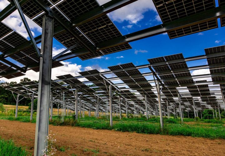 Arequipa Planta de hidrógeno tendrá paneles solares elevados que permitirán cultivo debajo