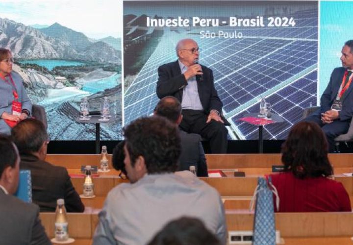 Buscan inversionistas Exhiben potencial de renovables de Perú ante empresarios de Brasil