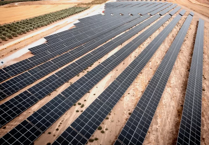 Cuerva-Acula-0992 reduced