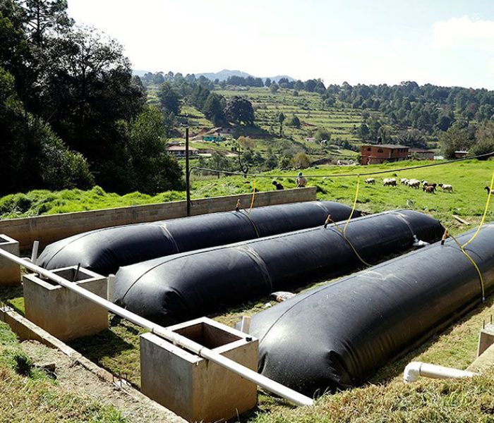Emprendedores producirán biogás para fertilizar sembríos y cocinar alimentos en Arequipa