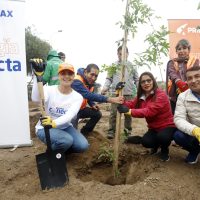 Energía que nos conecta: Primax arborizó más de 3,400 m2 en San Juan de Miraflores