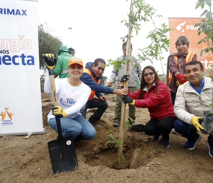 Energía que nos conecta: Primax arborizó más de 3,400 m2 en San Juan de Miraflores