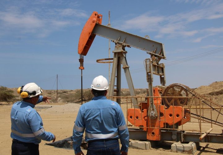 Entregar directamente los lotes I y VI a Petroperú afecta la libre competencia SPH