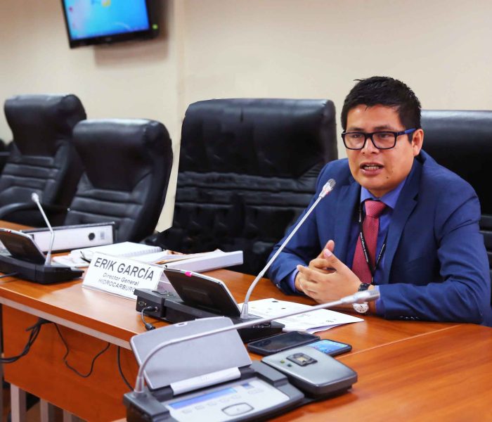 Exdirector del Minem propone fortalecer a los organismos reguladores en lugar de fusionarlos