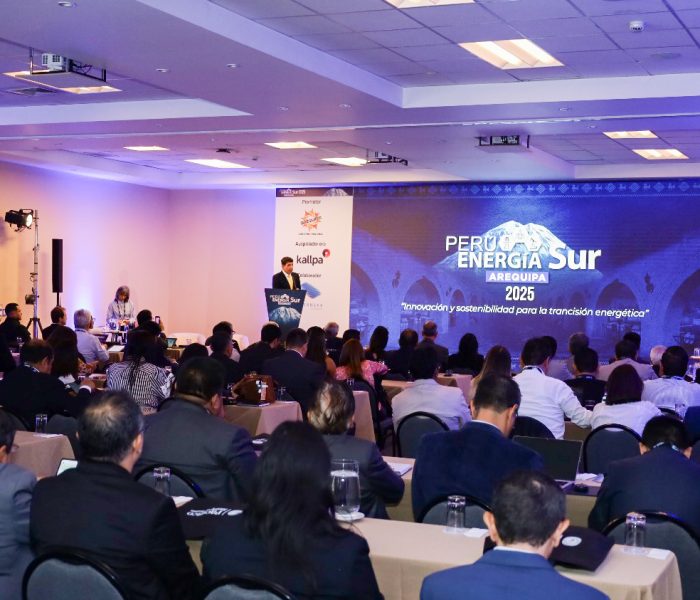PERÚ ENERGÍA Sur Arequipa reunió a cerca de 200 expertos y logró un 30% de participación femenina