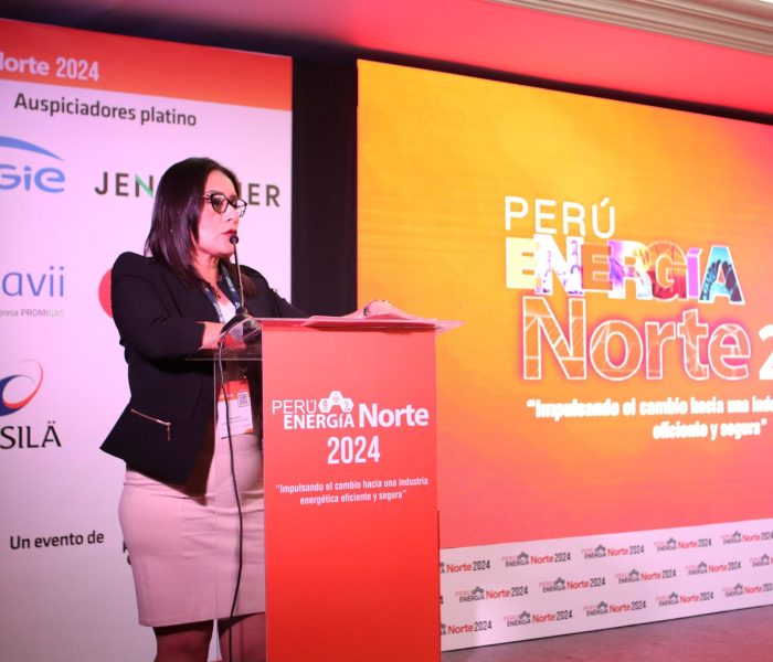 Gaby Julca: Los recursos de hidrocarburos y energías renovables de Piura son inmensamente grandes