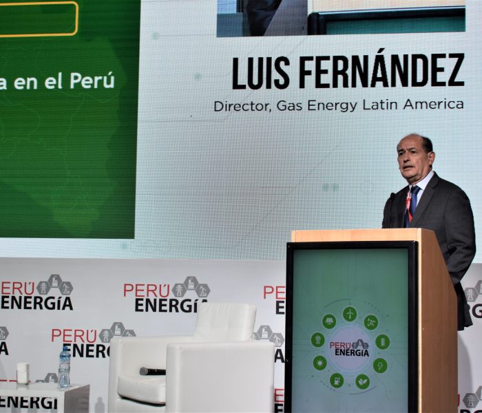 “El Perú tiene una de las matrices energéticas más limpias de la región”