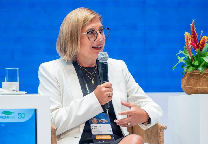 María Julia Aybar Las políticas de Estado no solo deben enfocarse en las energías renovables