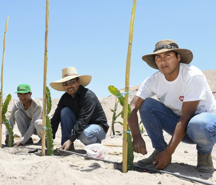 Agro Quellaveco lanza fondo de S/ 2 millones para la Junta de Usuarios de Moquegua