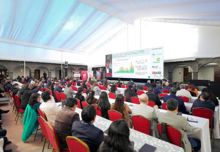 PERÚ ENERGÍA SUR CUSCO 2025
