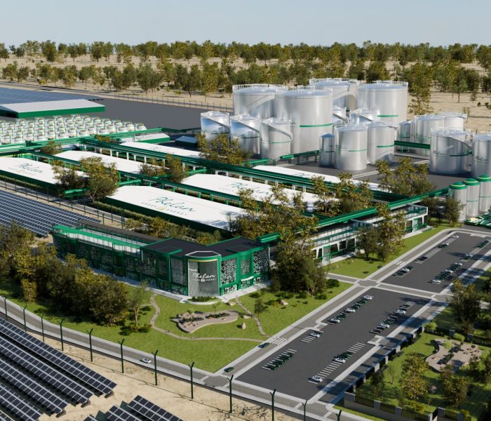 Phelan decidirá inversión en proyecto de H2 en Arequipa en segundo semestre de 2026