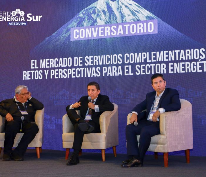 «Algunas reglas han permitido que las renovables eviten costos que sí asumen otras centrales»