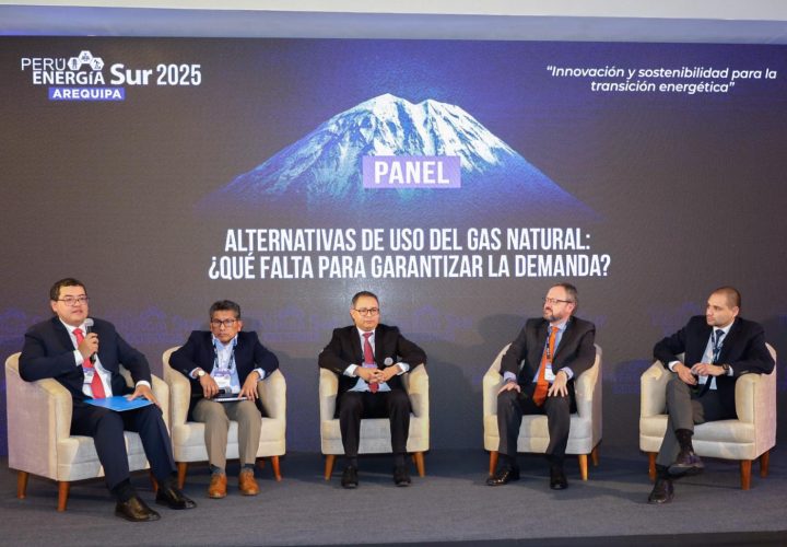 Panel 4
