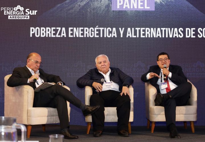 Panel 6