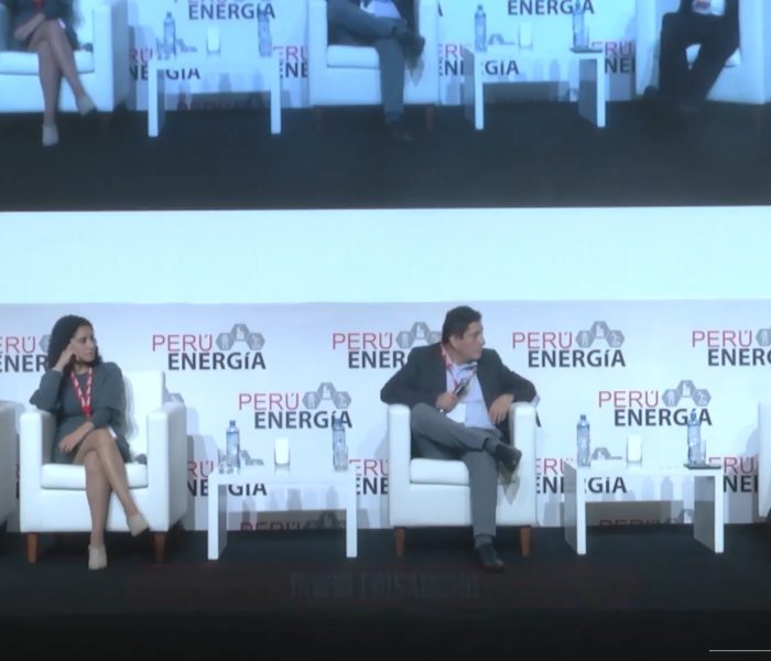 “La idea es generar agentes en el mercado que brinden soluciones en servicios complementarios”