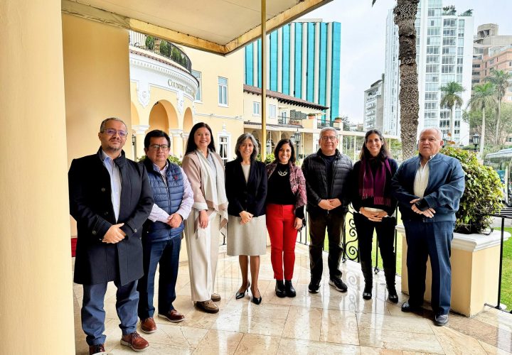 Perú Energía Norte 2025 comité consultivo