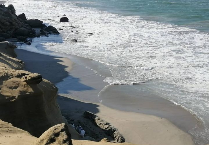 Petroperú continúa con acciones de primera respuesta en playa Las Capullanas