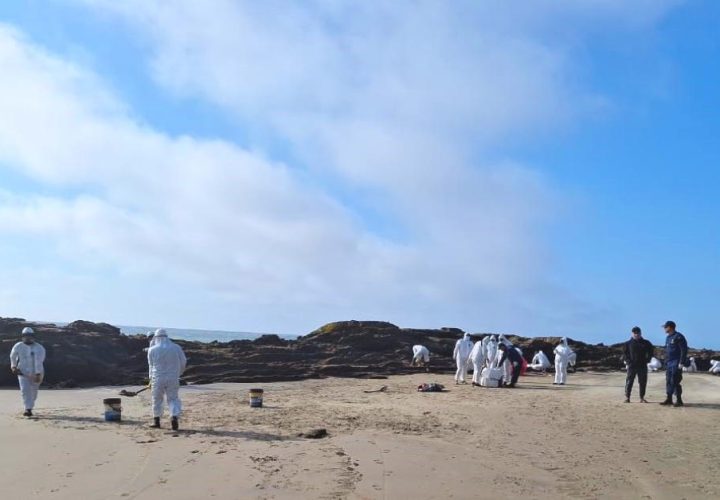 Petroperú controló fuga registrada en Lote Z-69 y recuperó iridiscencias presentes en el mar