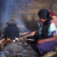 46% de los hogares que usan leña y carbón para cocinar sufren los efectos nocivos de ambos recursos