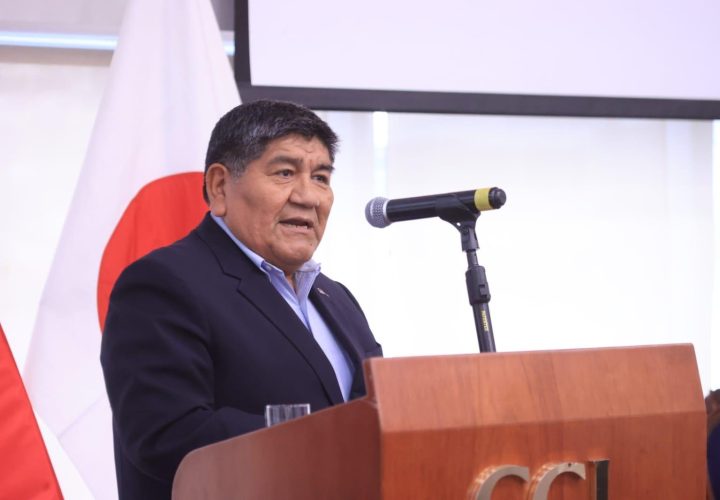Potencial de energía solar en Perú asciende a 937 GW y de energía eólica, a 20 GW, según Minem