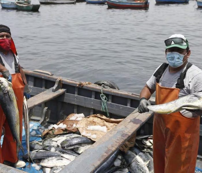 Repsol asegura que el 98% de los pescadores afectados cobró sus compensaciones totales