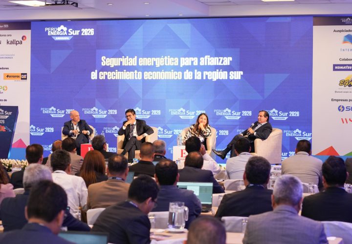 Seguridad energética para el sur