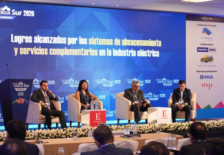 Sistemas de almacenamiento y servicios complementarios