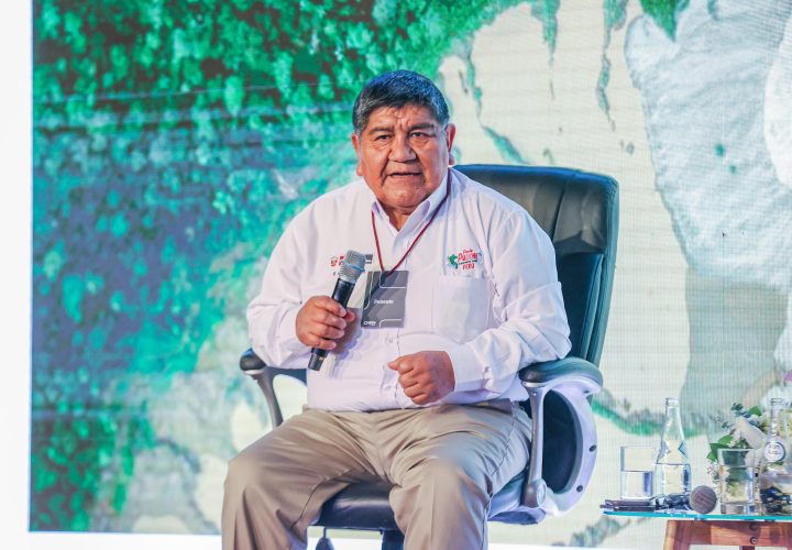Tenemos condiciones inigualables para generar todas las fuentes de energía Rómulo Mucho