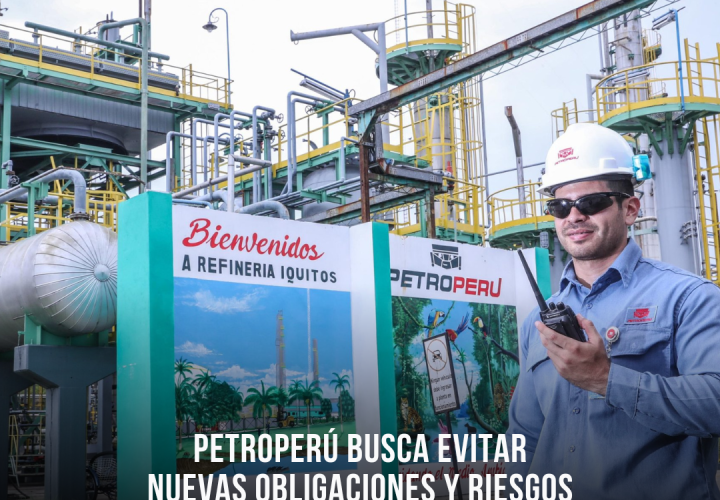 Texto del párrafo (1)