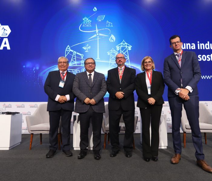 Red eléctrica flexible, certidumbre de contratos y servicios complementarios: Los requisitos para una transición energética ordenada y equilibrada