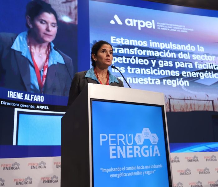 ARPEL: “No podemos negar el derecho legítimo de los países en desarrollo de utilizar sus recursos hidrocarburíferos”