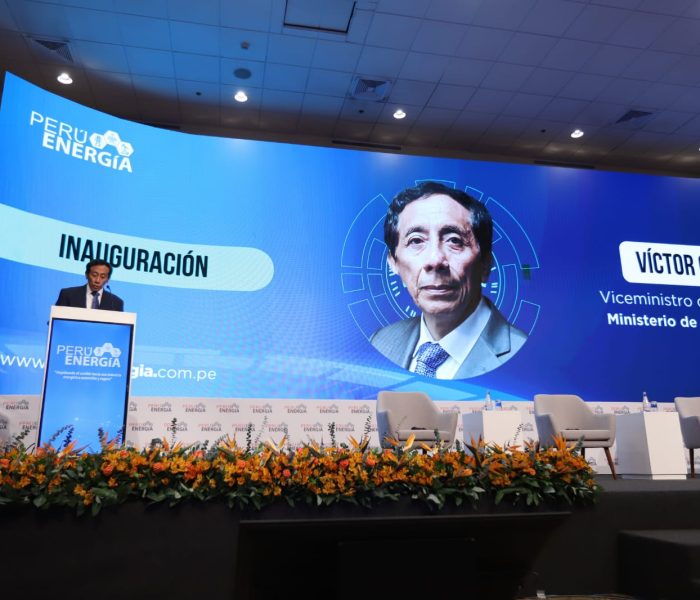 Viceministro de Electricidad: Que Perú Energía 2024 sea «el inicio de acciones concretas y decisivas que impulsen el cambio real de nuestro sector energético»