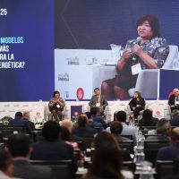 «El Perú no puede darse el lujo de dejar de explorar ni depender del mercado internacional»