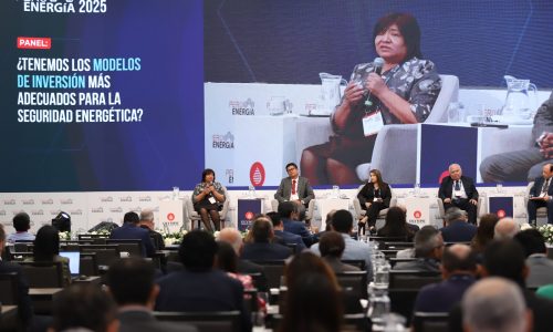 «El Perú no puede darse el lujo de dejar de explorar ni depender del mercado internacional»