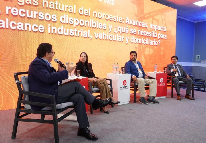 WhatsApp Image 2025-11-13 at 6.38.04 PM