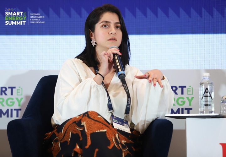 alejandra machuca zelestra