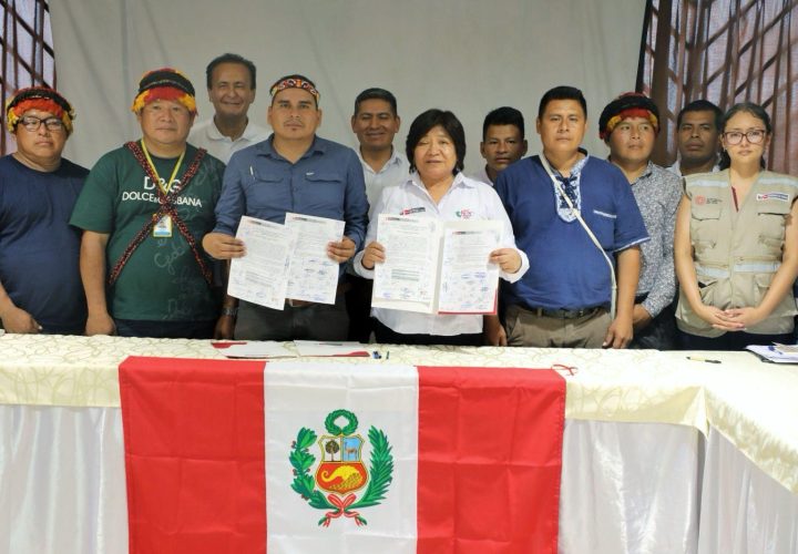 consulta previa lote 8