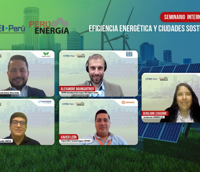 EPEI- Perú: “La eficiencia energética promueve la digitalización y reduce el consumo de energía”.