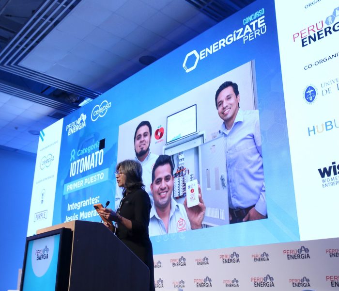 Arrancó ENERGÍZATE PERÚ: ocho finalistas inician mentorías en camino a la máxima competición