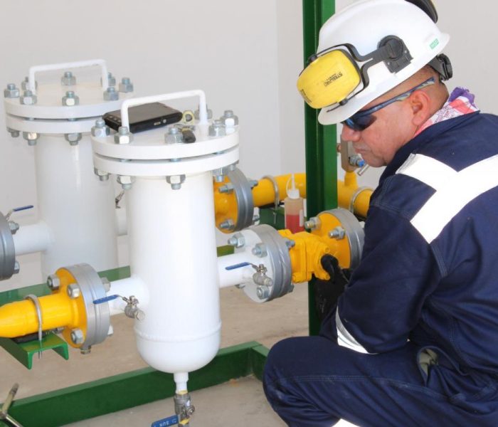 Gas natural se convierte en insumo para la producción de fibra de alpaca