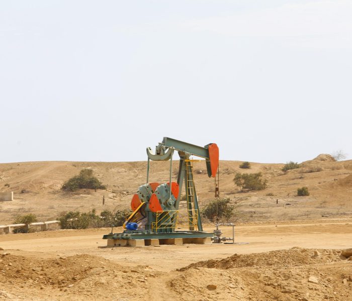 Postores que ocuparon el segundo lugar para la buena pro de lotes I y VI en proceso de evaluación