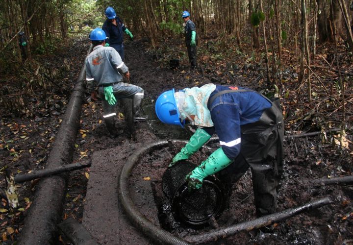 minem remediación ambiental