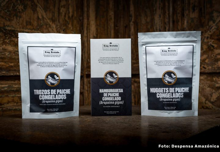 petrotal paiche