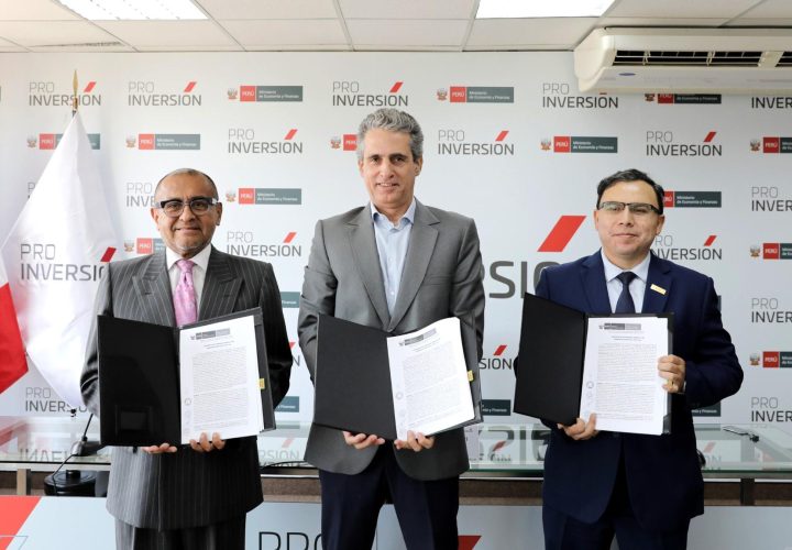 proinversion consorcio electrico yapay